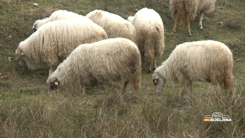 Penzioner bez pritiska i holesterola: Slavko Midić iz Tobuta hobijem održava zdravlje i puni novčanik