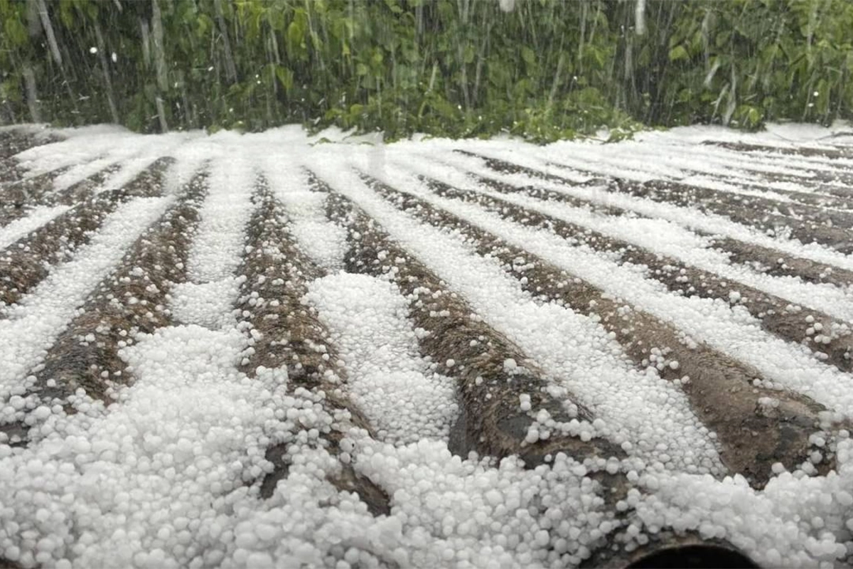Olujno nevrijeme poharalo Sloveniju, fronta ide ka jugu