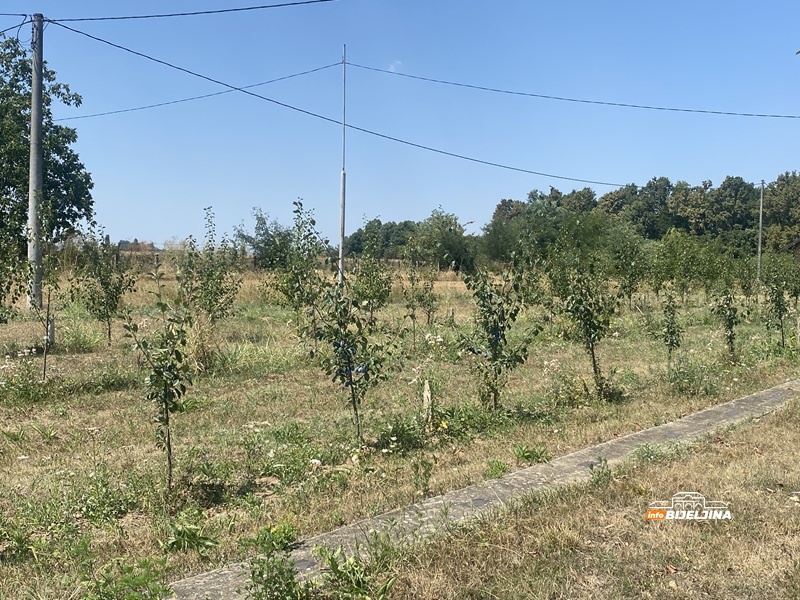 Semberski voćari i povrtari na udaru žege, a brine ih i otkup: Dobru cijenu ima samo jedna vrsta povrća