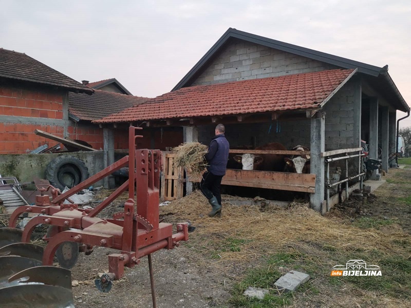 Ima li u semberskim selima budućnosti za mlade: “Imao sam ponudu za Njemačku, ali se i ovdje može solidno živjeti” /FOTO/