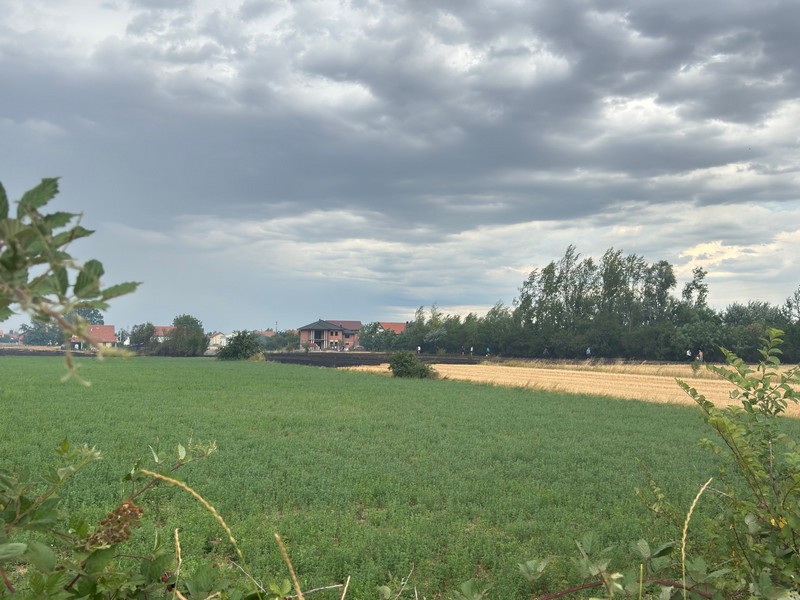Bijeljina: Požar zahvatio obilaznicu, približio se kućama (FOTO)