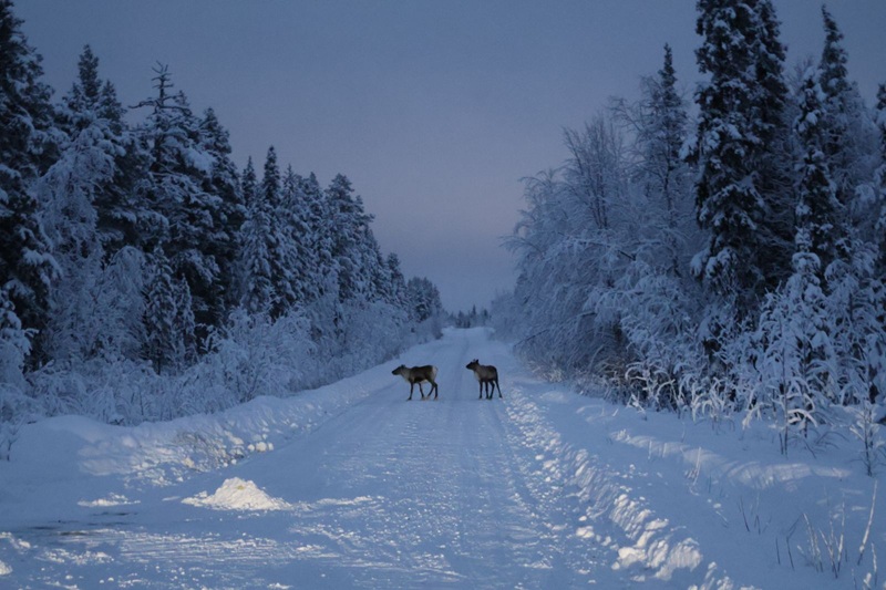 Nemanja Ilić posjetio najsjeverniji grad Švedske: “Želja mi je ispunjena, ali ne bih mogao tamo da živim” (FOTO)