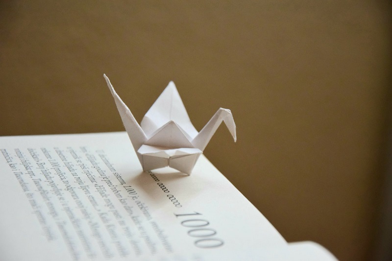 Vesna Rikić, Građevinski inženjer koji je zaljubljen u umjetnost origamija i kvilinga