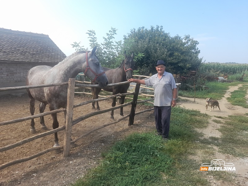 Nevjerovatna priča čiča Mihajla iz Crnjelova: Ljubav prema konjima i fijakerima koja traje više od vijeka (FOTO)