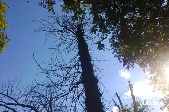 Narednih dana pretežno sunčano