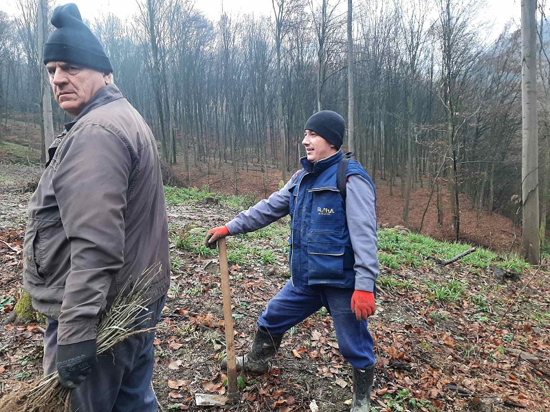 Završeno pošumljavanje dijela majevičke goleti: Šteta koja se ekspolatacijom drveća nanosi, mora se ublažiti FOTO