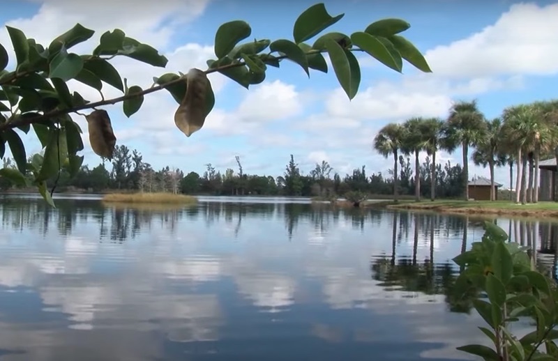 Ajkula snimljena u jezeru na Floridi: Uragan Helena donio opasne predatore duboko u kopno /VIDEO/