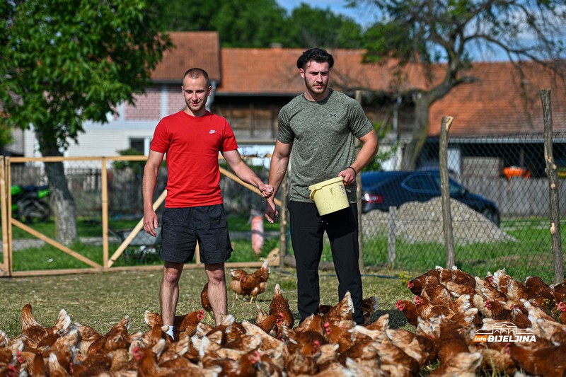 Jedinstvena farma u Semberiji: Imaju 600 koka nosilja, jaja prodaju i na društvenim mrežama (FOTO)