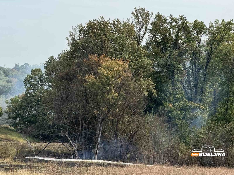 Požar kod Bijeljine, na terenu vatrogasci (FOTO)