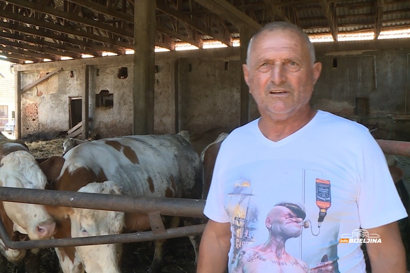 Semberskim mljekarima ništa nije jasno, pitaju se šta se dešava na tržištu: “Višak sam prodavao za mizeriju” (FOTO)