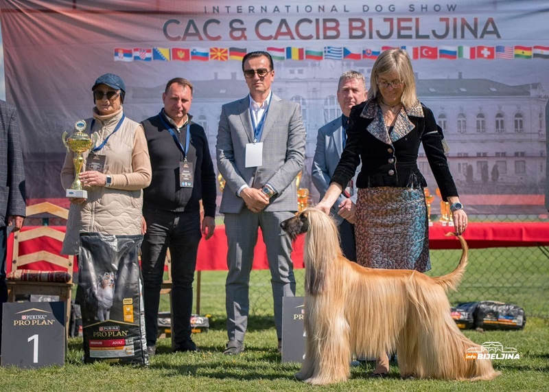 Istorijski uspjeh Kinološkog udruženja 