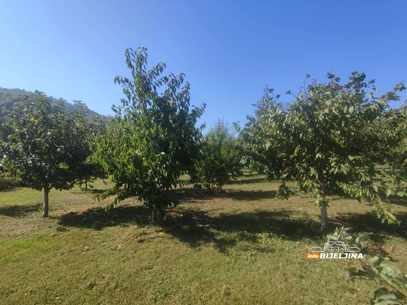 Bratske destilerije “Despot” i “Kristal” iz Ugljevika pet godina čuvaju rakiju u hrastovim buradima: U čemu je tajna? (FOTO)