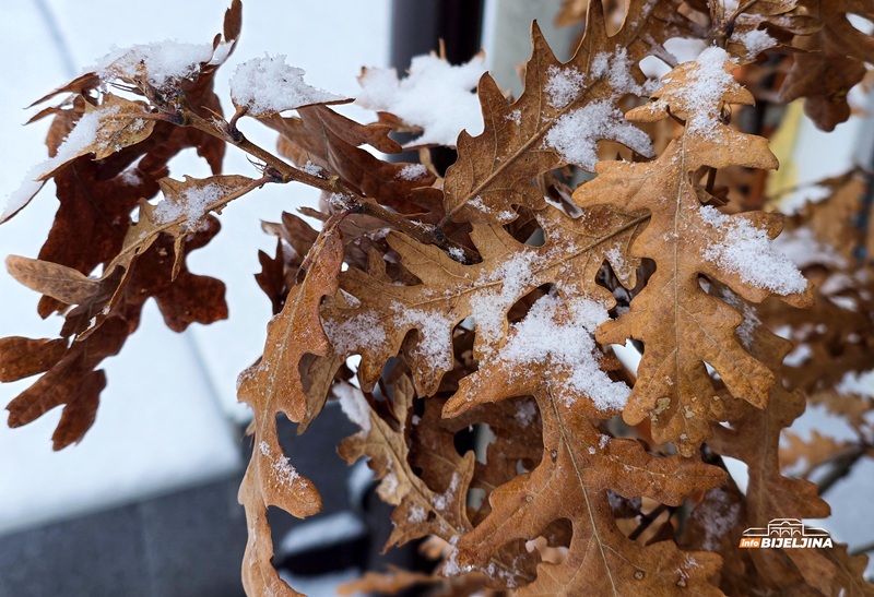 Šta znači ako za Božić pada snijeg: Kakva nas godina čeka prema starom narodnom vjerovanju