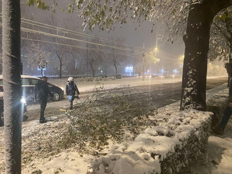 Snijeg “paralisao” BiH: Na putevima zaglavljena vozila, saobraćajne nezgode i oborena drveća (FOTO)