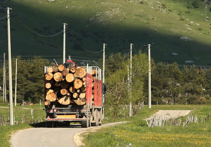 „Šume RS“ propadaju, radnicima zabranjeno da kupe i šerpu