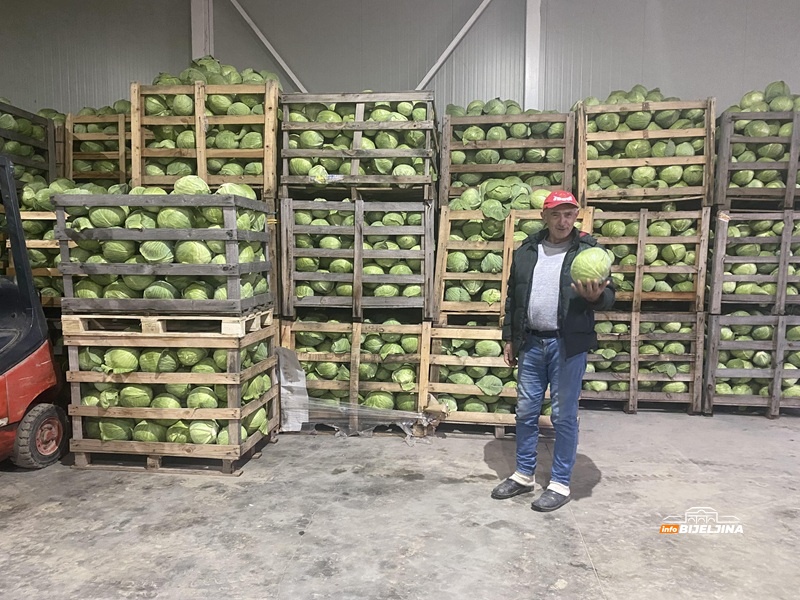 Semberski povrtari čekaju bolju priliku: Nadali se zaradi, a kupus pet puta jeftiniji (FOTO)