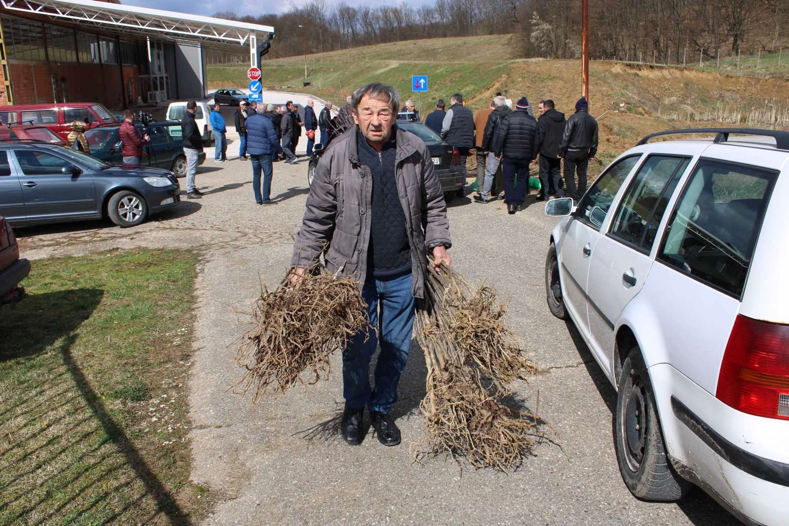 Majevičkim voćarima podijeljeno 5.000 sadnica šljive (FOTO)