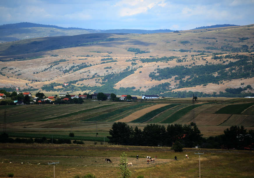 Od njega se dobija najbolji med: Selo Rore najbogatiji prostor vrijeskom na području bivše Jugoslavije