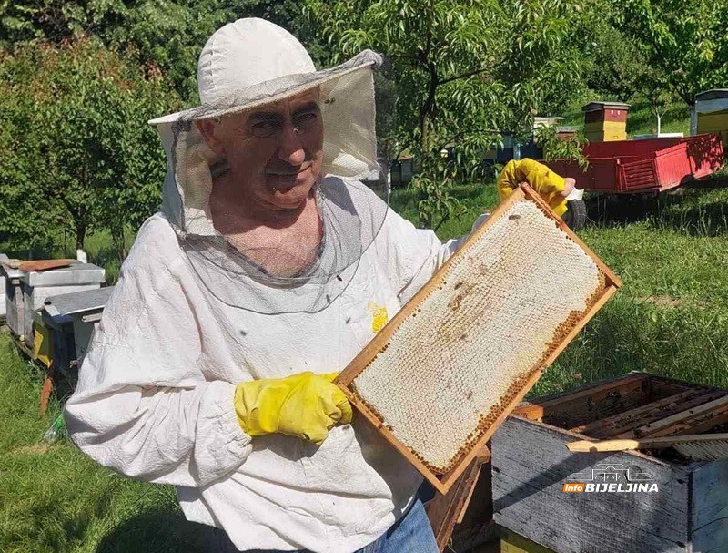 Pčelaru iz Donje Trnove stigla sezona kakvu čeka 15 godina: Kvalitet vrhunski, kupci dolaze sami (FOTO)