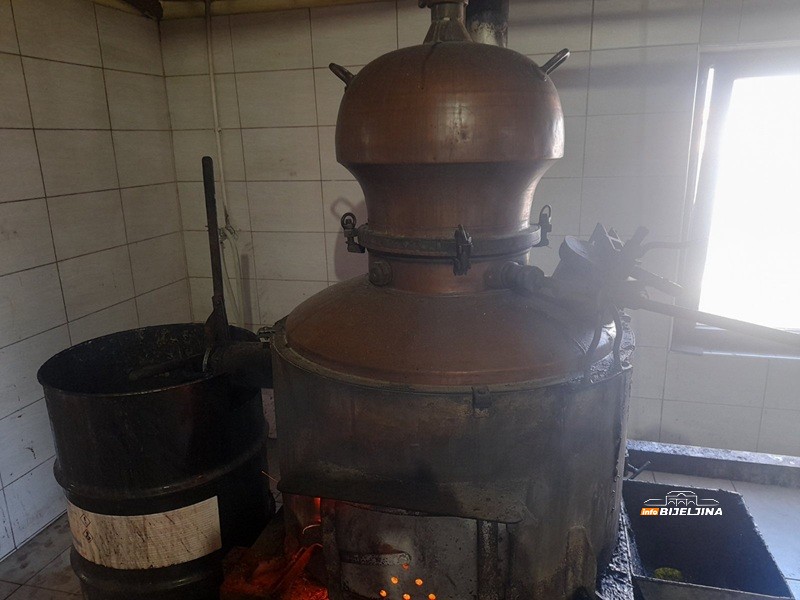 Semberac pravi rakije od koprive, srijemuša, đumbira i ananasa, na redu lubenica: “Ljekovite za imunitet, jetru, srce…” (FOTO)