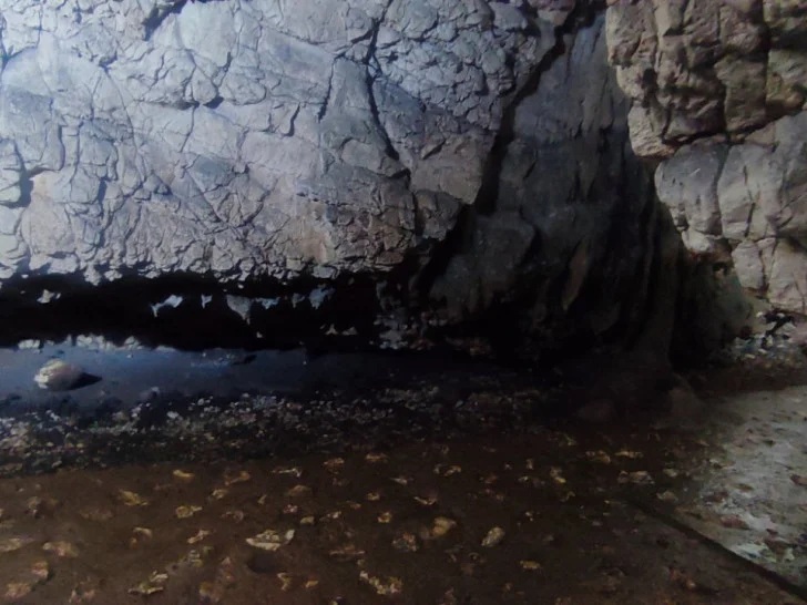 Rastuška pećina kod Teslića krije tajne neandertalaca stare više od 150.000 godina