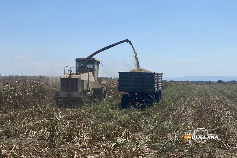 Tropske vrućine spržile kukuruz u Semberiji: “Šteta raste iz dana u dan, moraćemo kupovati da prehranimo stoku”