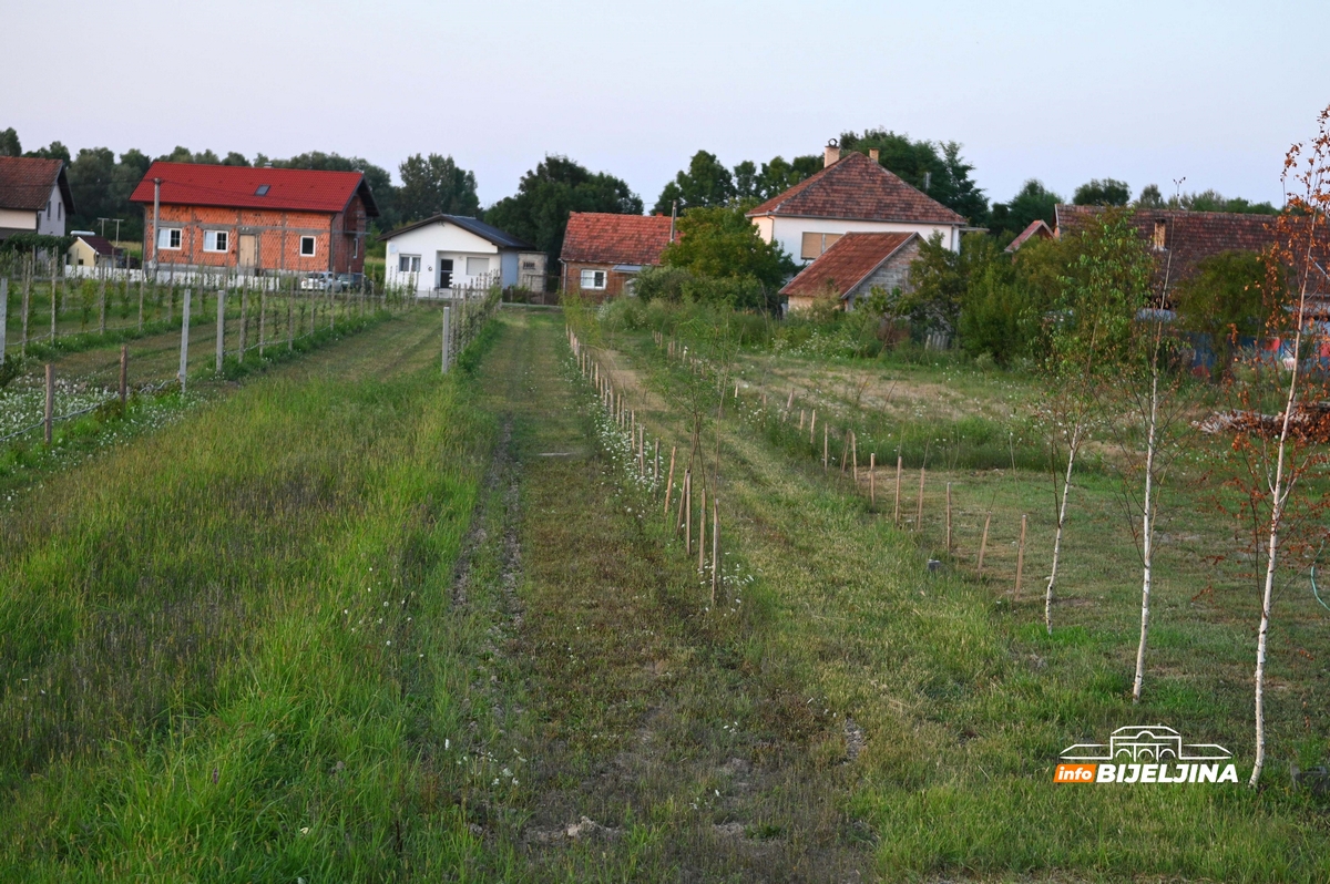 Mićo Čokić oplemenjuje rodno selo kod Šamca: Površinu obraslu šibljem pretvorio u impozantan kompleks