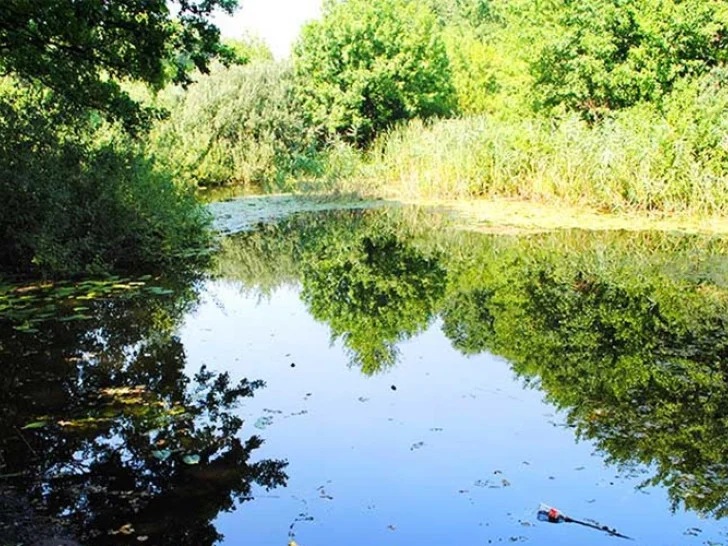 Tajanstvena močvara kod Bijeljine krije ribu staru 450 miliona godina