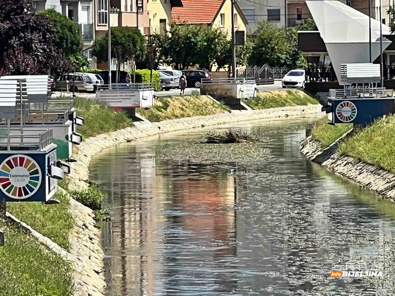 Bijeljina: Dašnici opao nivo vode, građani ogorčeni zbog smeća (FOTO)