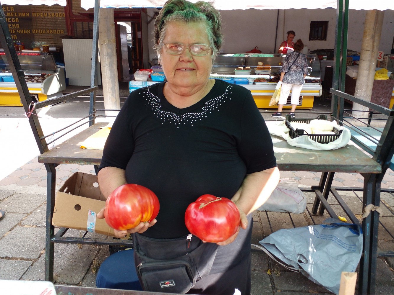 Bijeljina: Rekorderi u proizvodnji paradajza