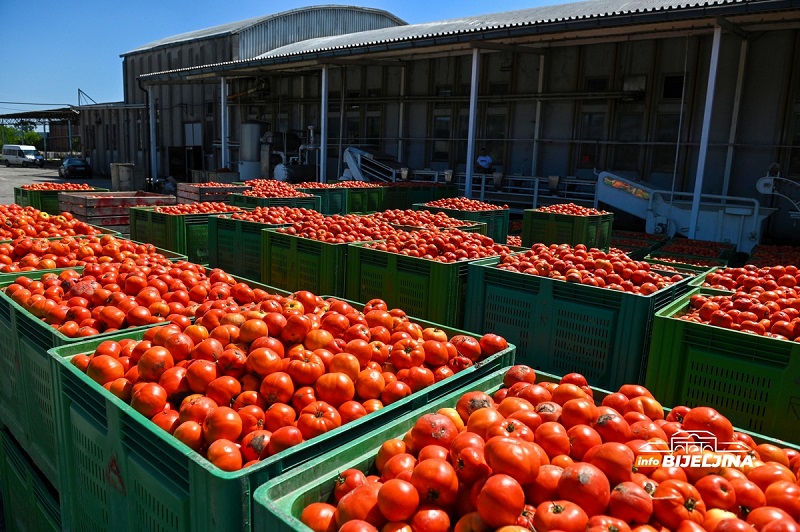 Evropa alarmirala: U povrću iz BiH ponovo pronađen kancerogeni metal