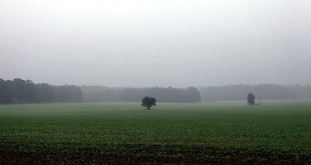 I danas kiša, ponegdje jači pljuskovi i grad