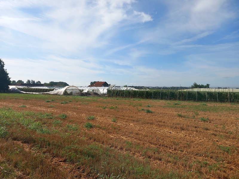 InfoBijeljina u Velikoj Obarskoj: Plastenici uništeni, letjeli i krovovi (FOTO)