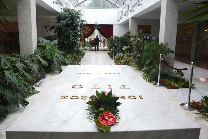 Beograd: Bacio molotovljev koktel na Kuću cvijeća, htio da zapali muzej