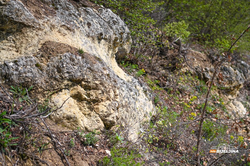 Semberija krije fosile Panonskog mora: Svijet koji je nestao prije miliona godina /FOTO; VIDEO/