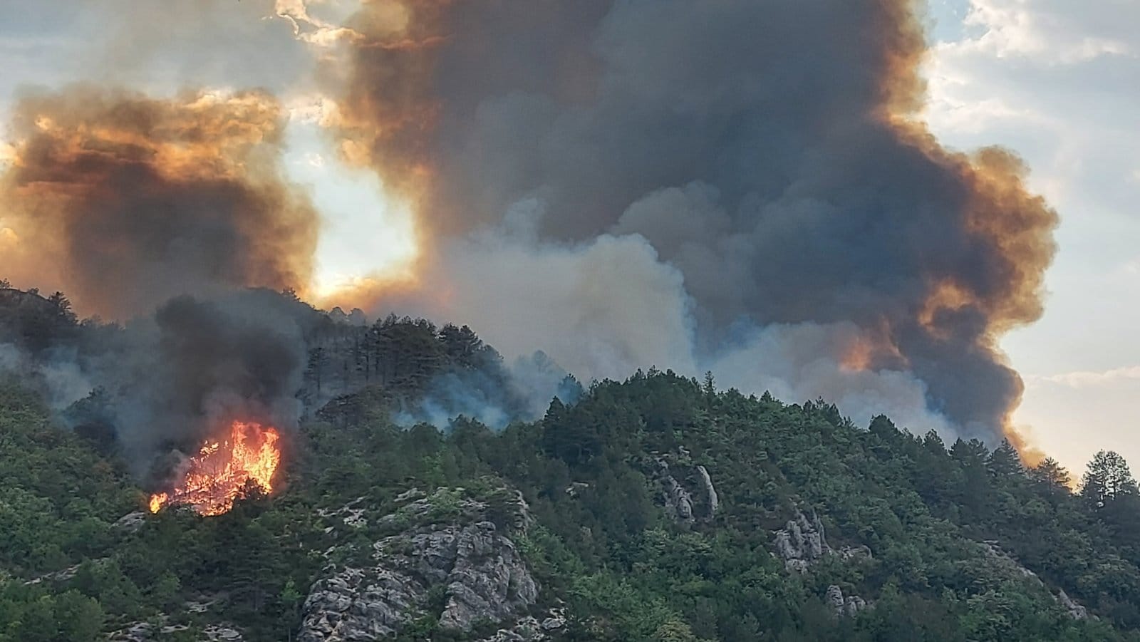 Helikopteri gase požar na području Trebinja, očekuje se pomoć Srbije