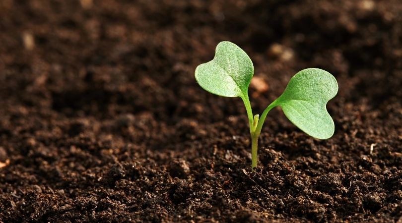 Rat u Ukrajini izazvao nestašicu đubriva