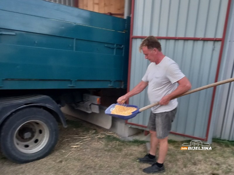 Marići završili berbu kukuruza u ugljevičkom selu Donja Trnova: 