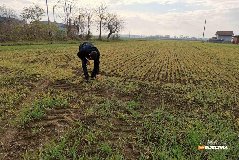 Semberija: Blaga jesen pogoduje poljoprivrednim radovima (FOTO)