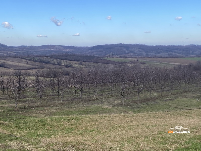 Voćari na Majevici očekuju dobar rod, ali im nedostaje radnika: Dnevnice od 110 maraka pa naviše (FOTO)