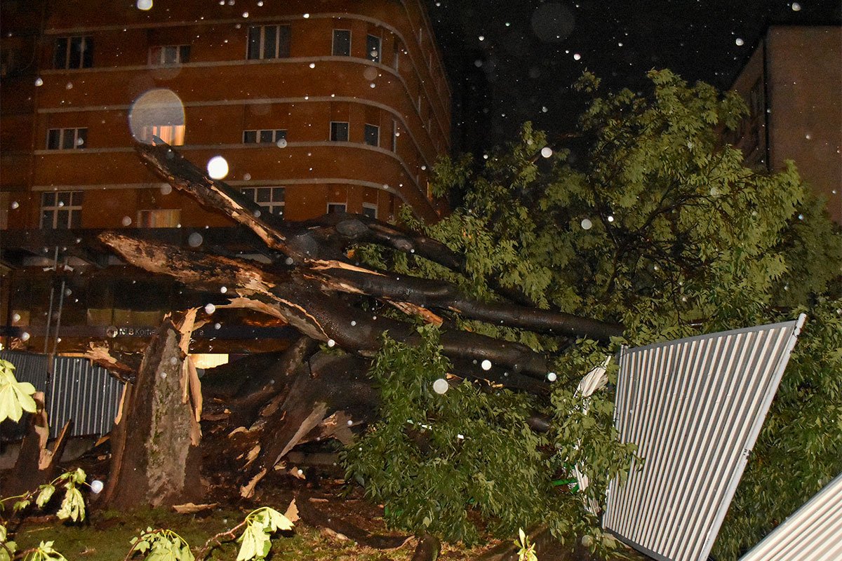 Dijete poginulo u Novom Sadu