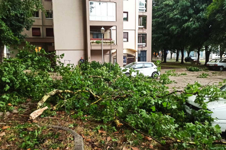 Kozarska Dubica i Trebinje zbrajaju štetu od nevremena