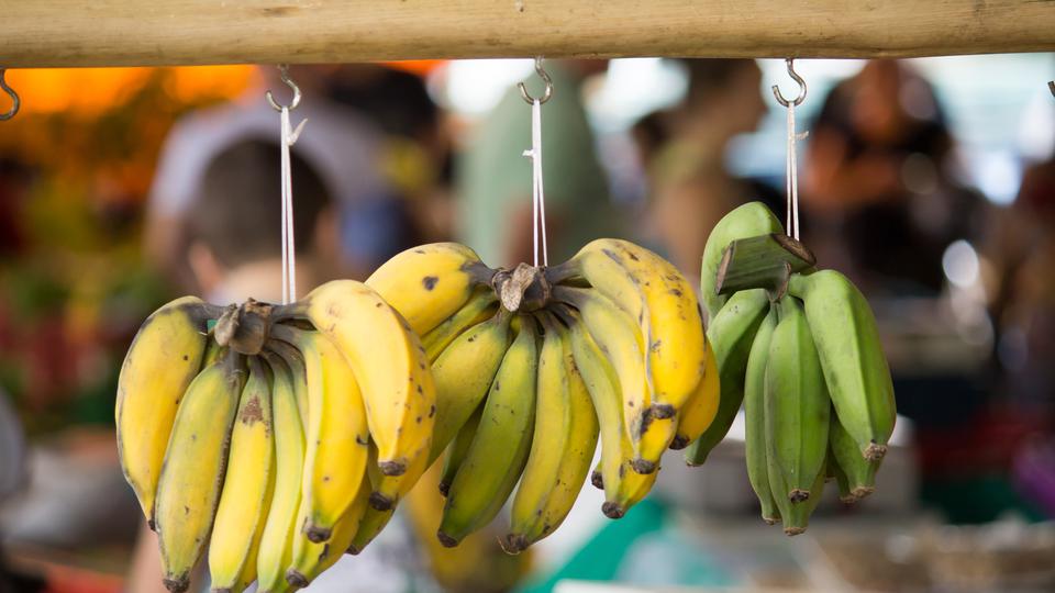 Prezrela ili nezrela banana? Jedna od njih prouzrokuje zatvor, pažljivo birajte