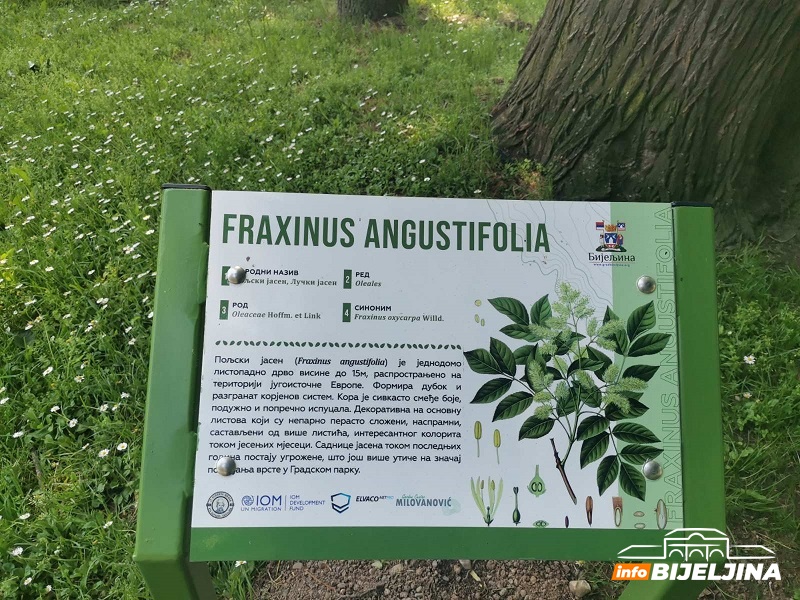 Mladi ekolozi uređuju gradski park:  