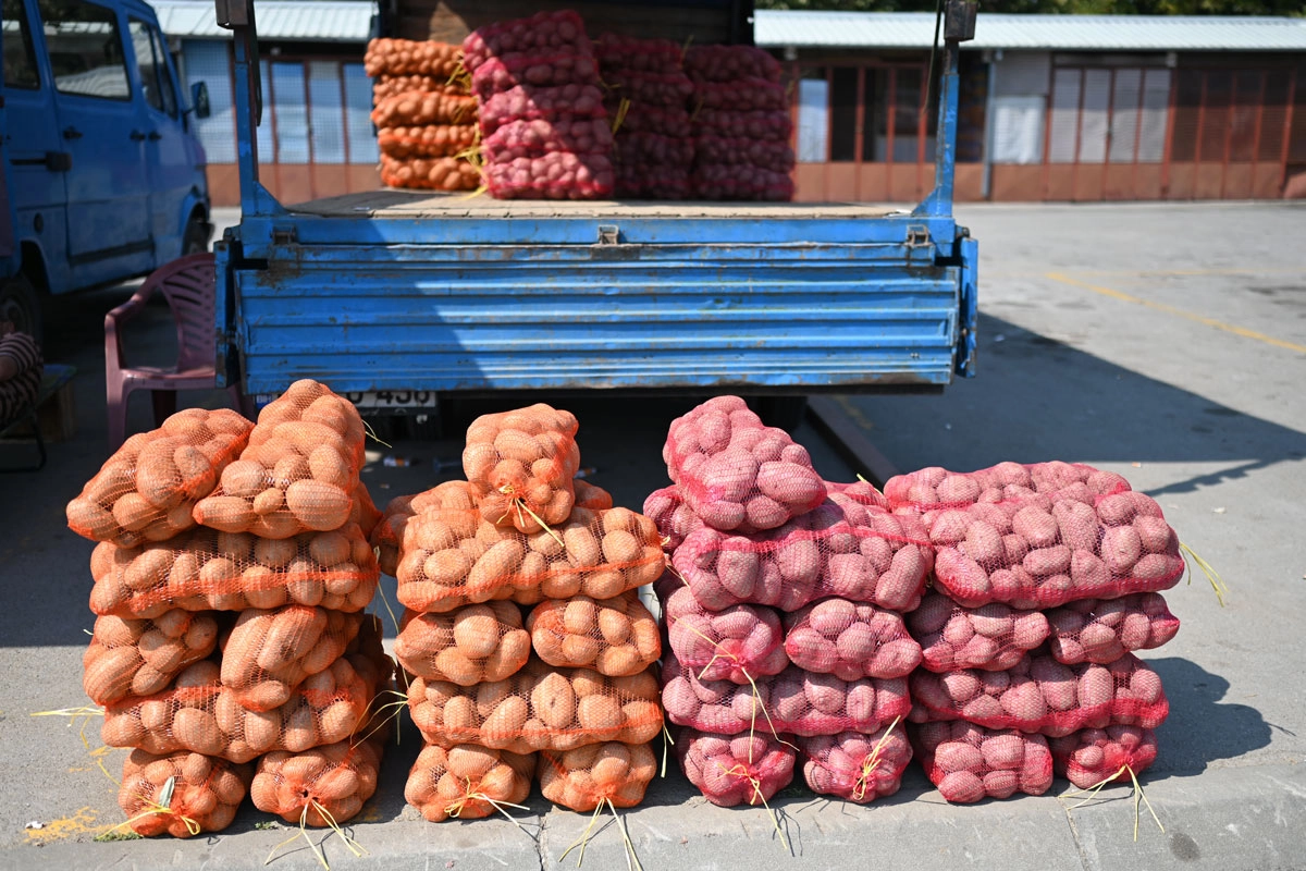 Krompir „napola skuvan“ u zemlji: Povrtari otkrili kakav rod očekuju i koliko trenutno košta kilogram