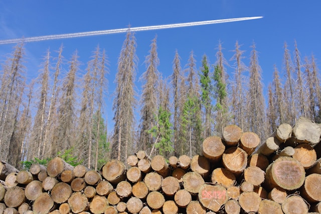 Velika akcija USKOK-a: Uhapšeni zbog korupcije i utaje poreza u 