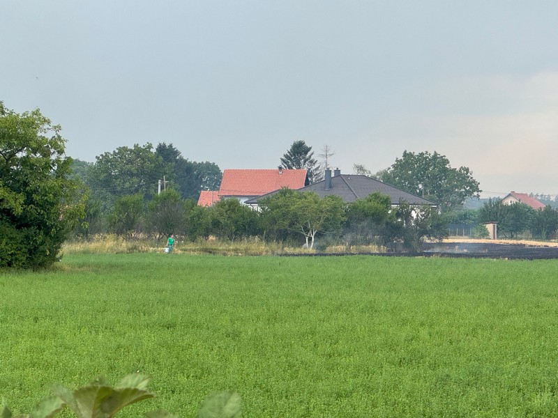 Bijeljina: Požar zahvatio obilaznicu, približio se kućama (FOTO)