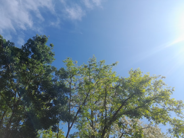 Sutra pretežno sunčano, do 22 stepena