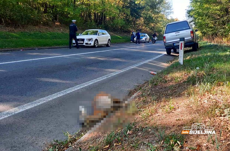 Šta donosi novi zakon o lovstvu u Srpskoj: Vozači u prekršaju koji udare divljač plaćaće štetu na vozilima