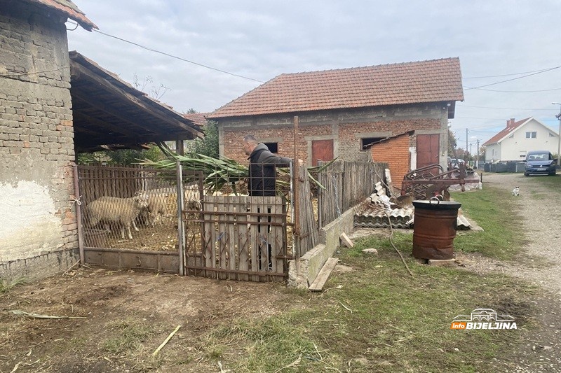 Profesor fizičkog iz Popova pretvorio hobi u posao: Ovce 